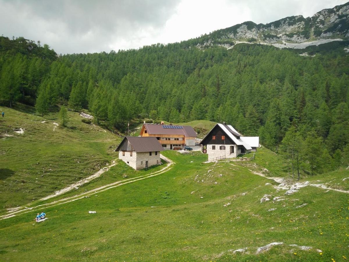 Homestead Zatrnik Near Блед Экстерьер фото